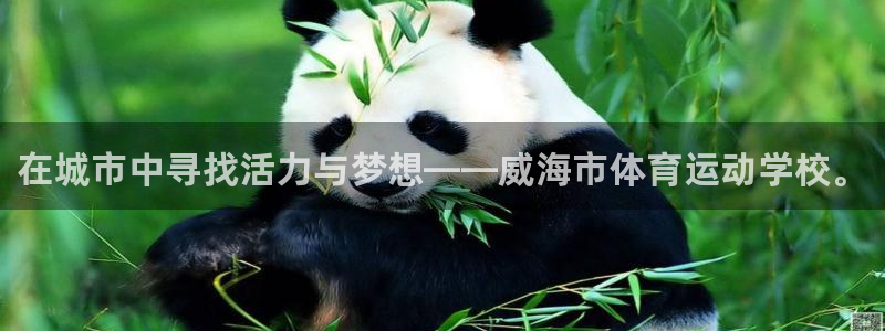 米兰体育官网下载