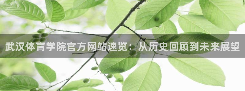 米兰体育官网下载平台假的吗是真的吗吗：武汉体育学院官方网站速