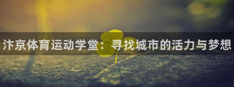 米兰体育官方正版app神州：汴京体育运动学堂：寻找城市的活力