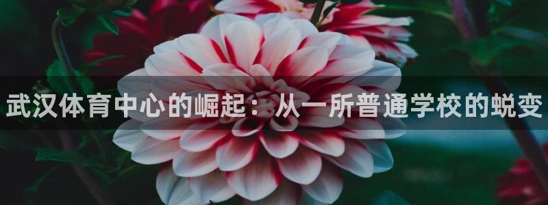 米兰体育官网下载联系电话