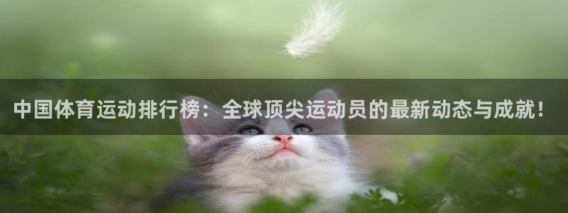 米兰体育官网下载平台假的吗是真的吗吗：中国体育运动排行榜：全