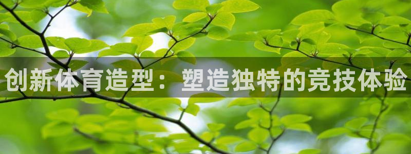 米兰体育官网下载：创新体育造型：塑造独特的竞技体验