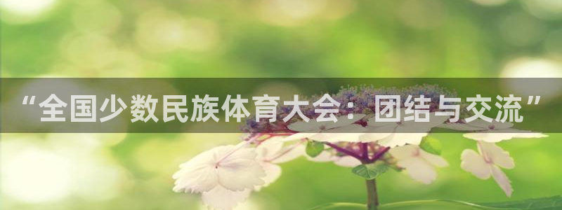 米兰体育官方正版app娱乐40996