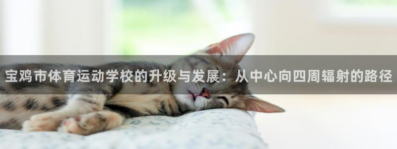 米兰体育官网下载开户：宝鸡市体育运动学校的升级与发展：从中心