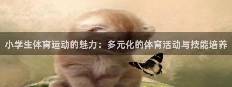 米兰体育官方正版app娱乐