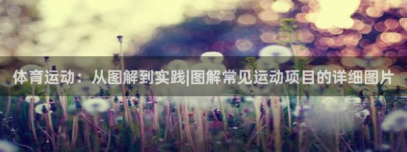 米兰体育官网下载平台假的吗是真的吗：体育运动：从图解