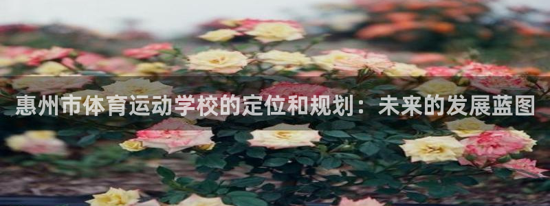 米兰体育官网下载平台