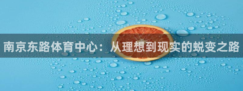 米兰体育官方正版app集团官网网址：南京东路体育中心：从理想