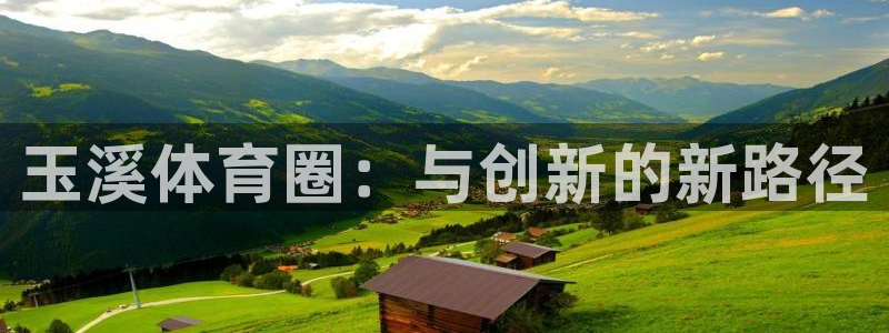 米兰体育官方正版app集团简介