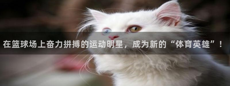 米兰体育官网下载平台APP：在篮球场上奋力拼搏的运动