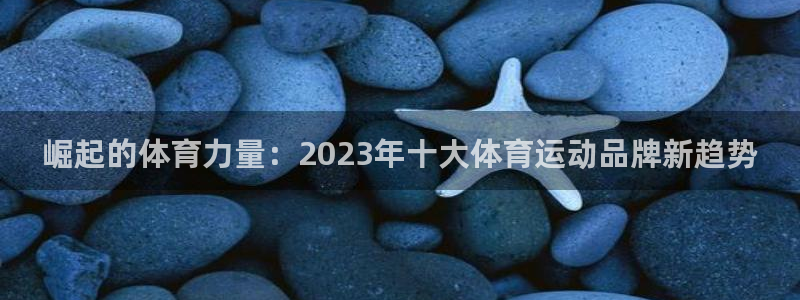 米兰体育官方正版app代理：崛起的体育力量：2023年十大体