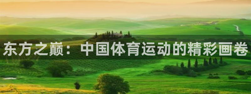 米兰体育官网下载注册：东方之巅：中国体育运动的精彩画卷